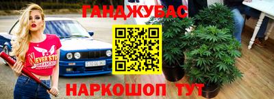 стафф Туймазы