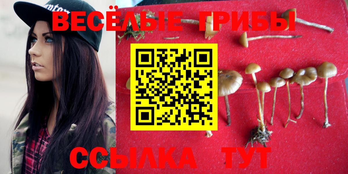 Галлюциногенные грибы Magic Shrooms  Вход с VPN  Псилоцибиновые грибы Psilocybe  Новоуральск 